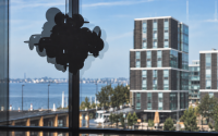 Investment Professional for the German market | Venture & Growth Technology